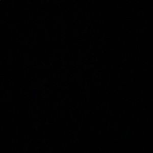 Meet your Posher, Avery